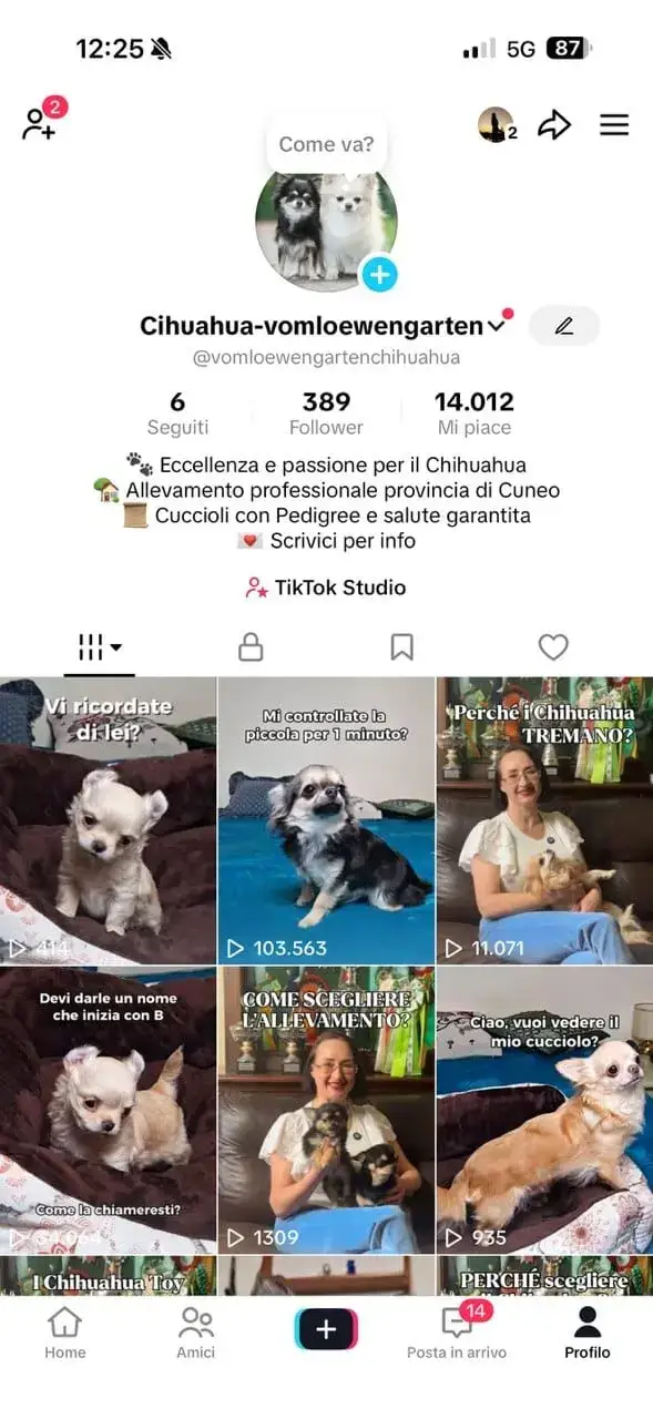 TikTok Vomloewengarten